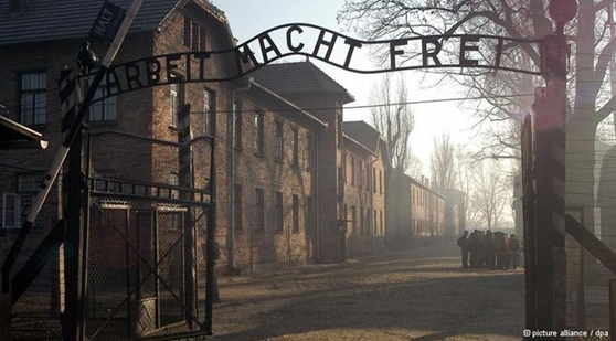 В Германии нашли 50 надзирателей концлагеря Освенцим