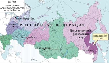 Контрольная работа по теме Основные месторождения никеля и месторождения поделочных камней Амурской области